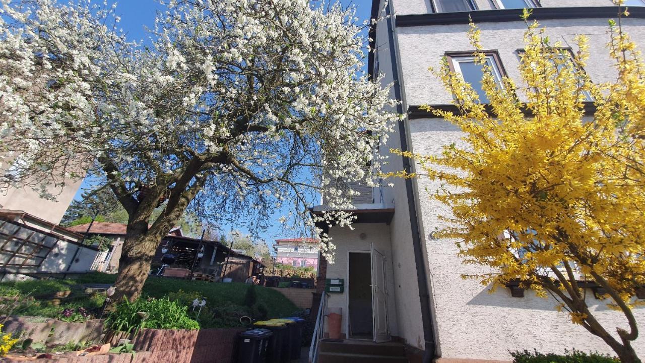 Appartement Schoene Aussicht, Wallbox, 70qm, Kontaktloser Check-in